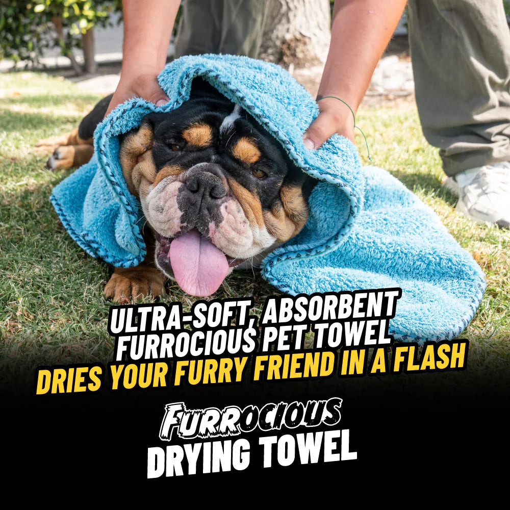 PetsBundle - Image 6